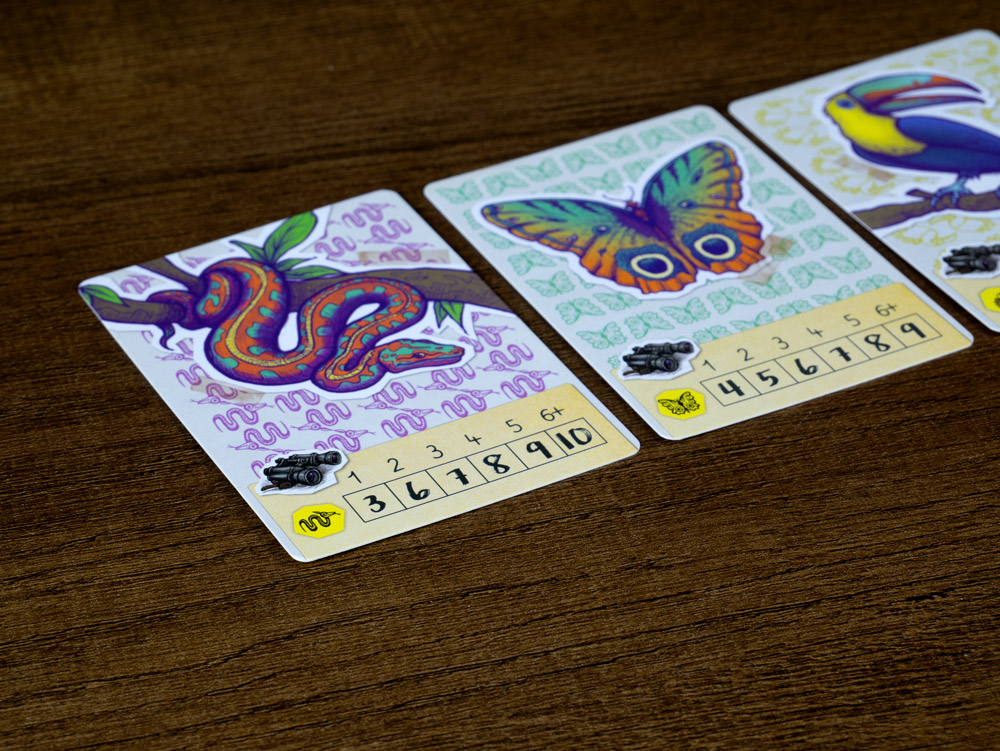 Trek 12: Amazonas - Imagen 5