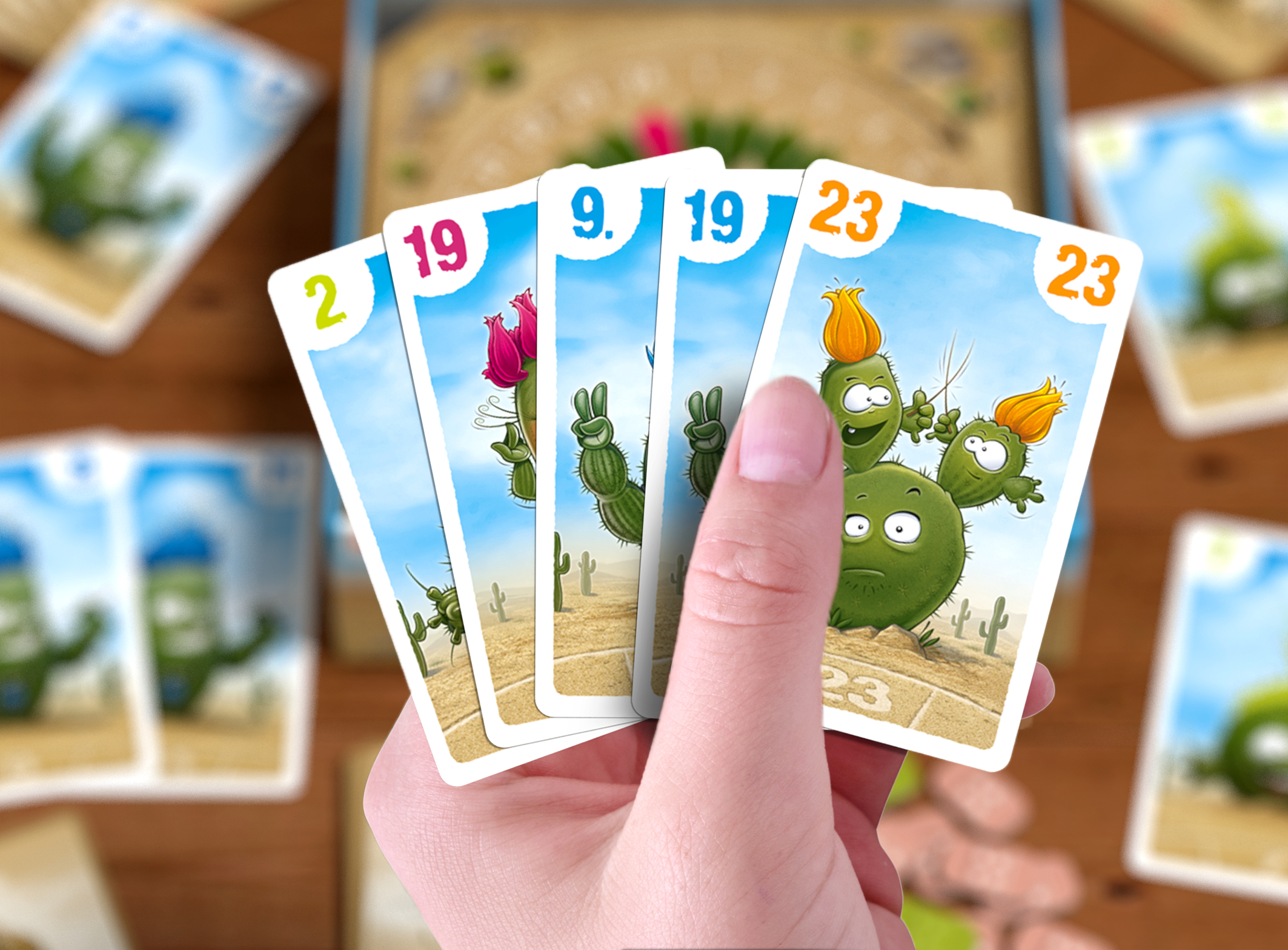 Rey Cactus - Imagen 4